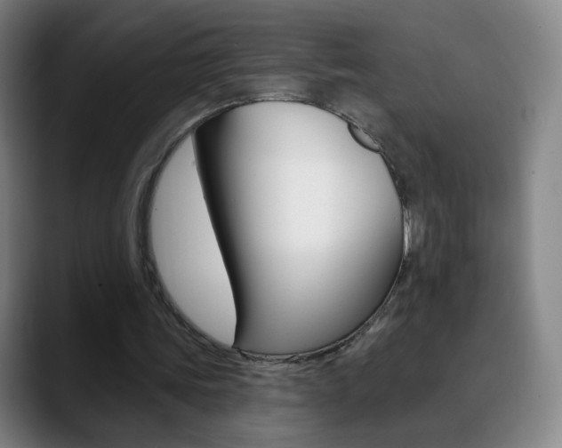 X0000090750339200707201035