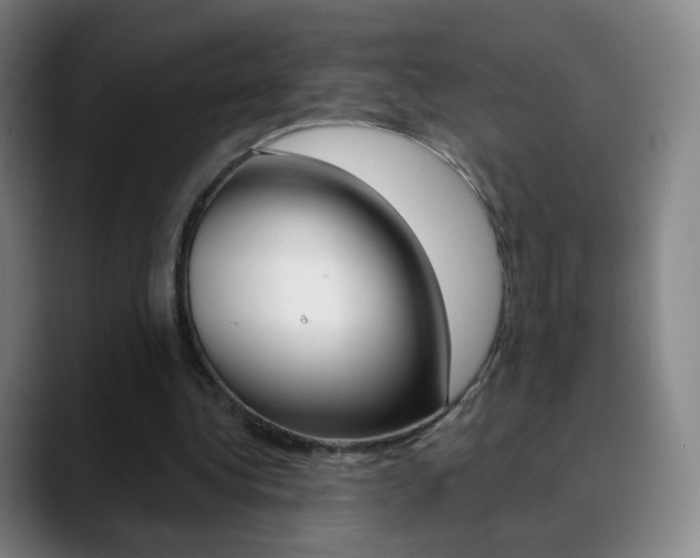 X0000090750340200707201035