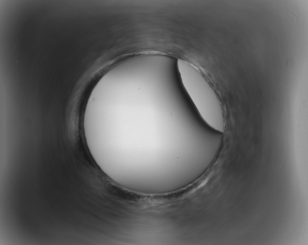 X0000090750343200707201035