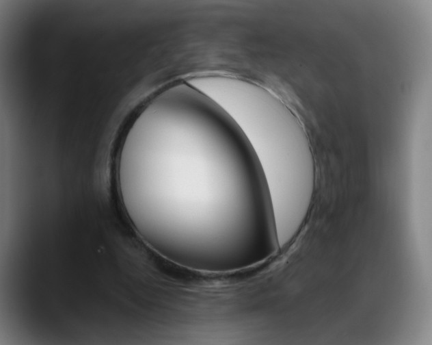 X0000090750344200707201035