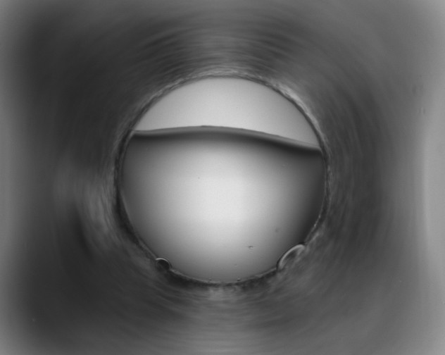 X0000090750345200707201035