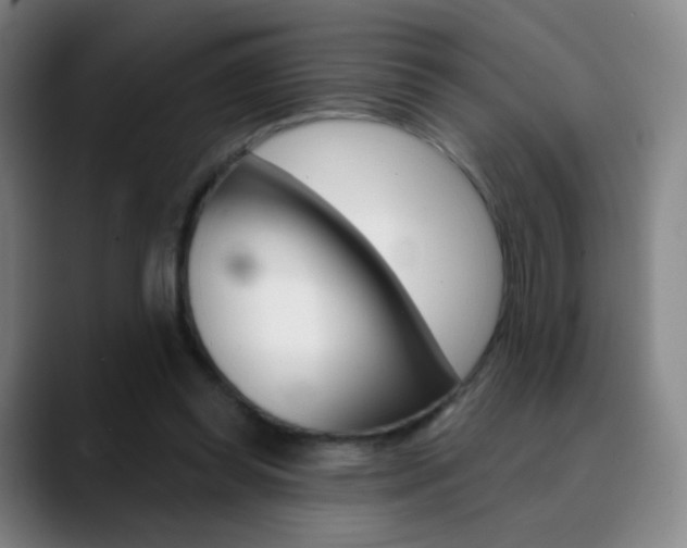 X0000090750349200707201035