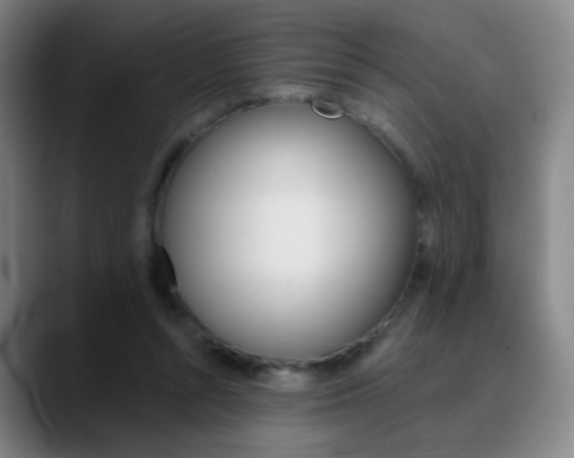 X0000090750352200707201035