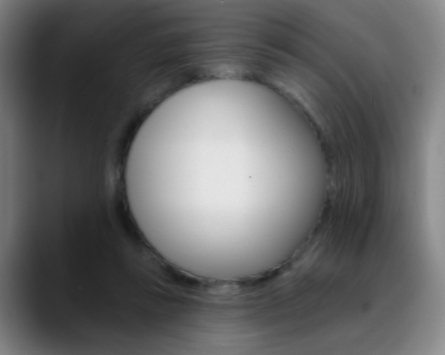 X0000090750355200707201035