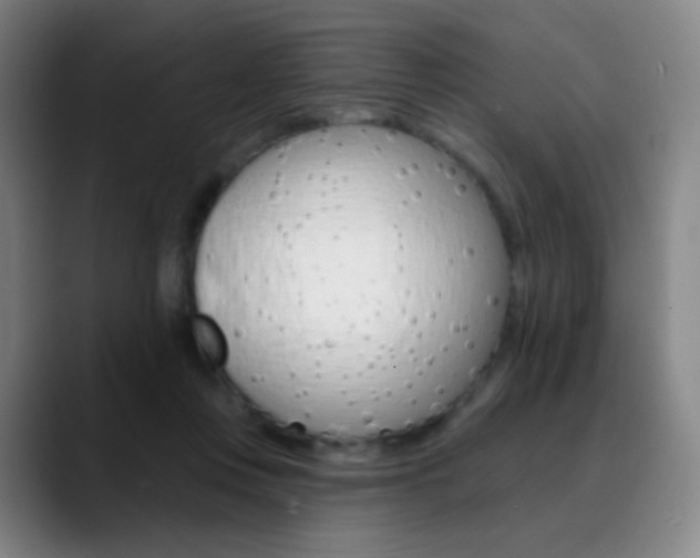 X0000090750359200707201035