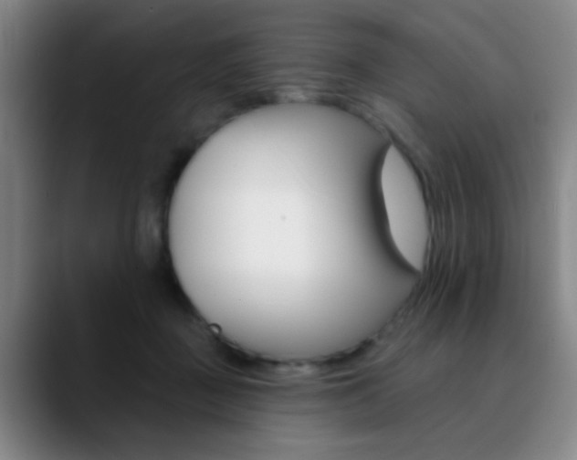 X0000090750363200707201035