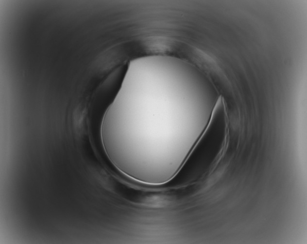 X0000090750364200707201035
