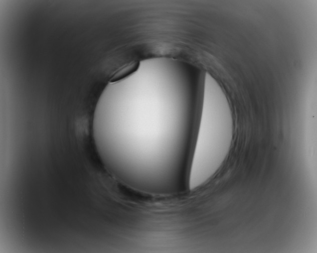 X0000090750368200707201035