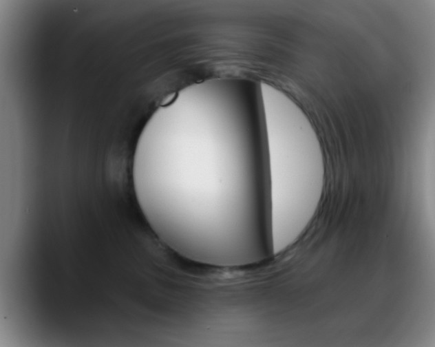 X0000090750379200707201036