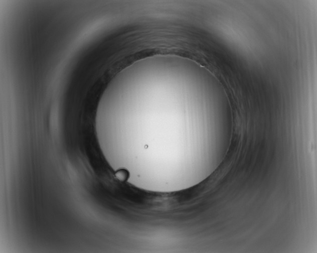 X0000090750383200707201036