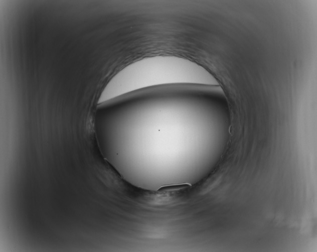 X0000090750384200707201036