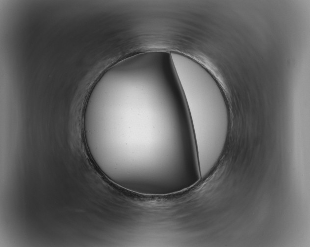 X0000090750385200707201035