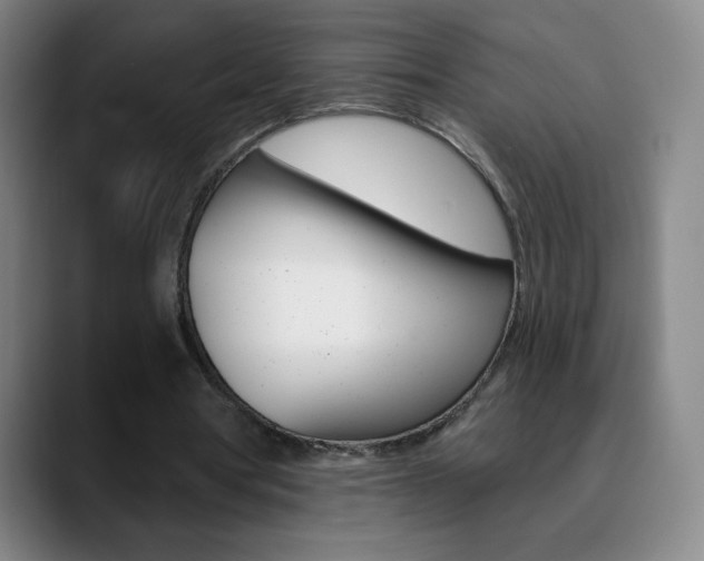 X0000090750386200707201035