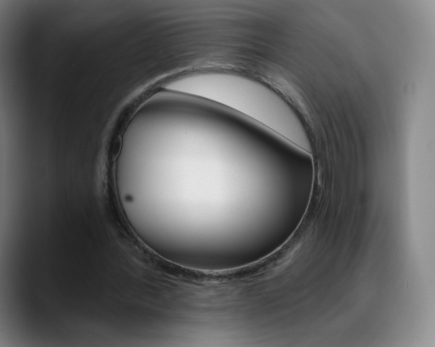 X0000090750388200707201035