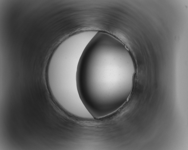X0000090750389200707201035