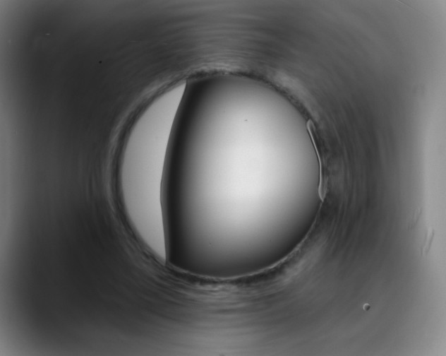 X0000090750395200707201035