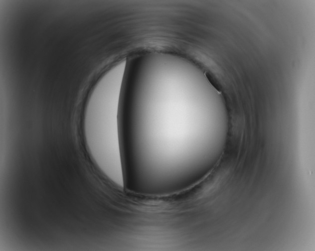 X0000090750399200707201035