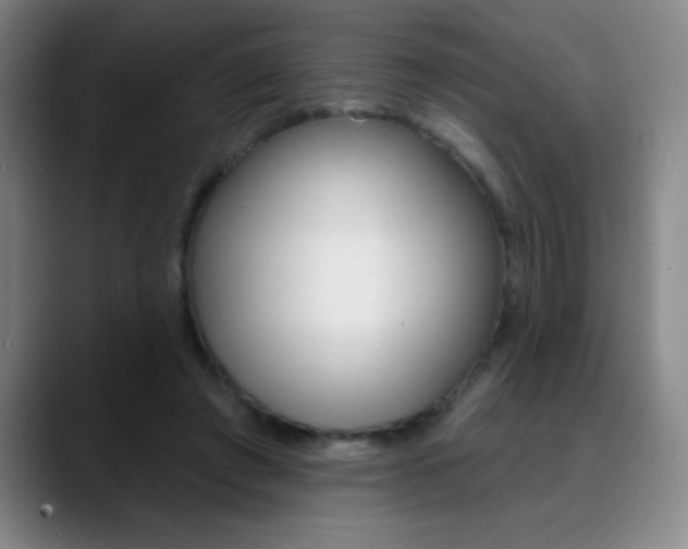 X0000090750401200707201035