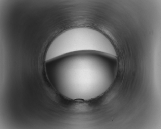 X0000090750403200707201035