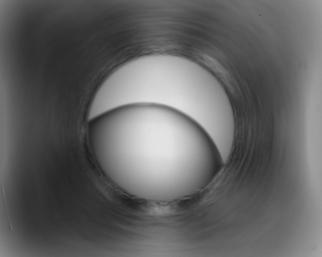X0000090750405200707201035