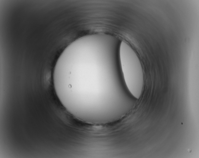 X0000090750406200707201035