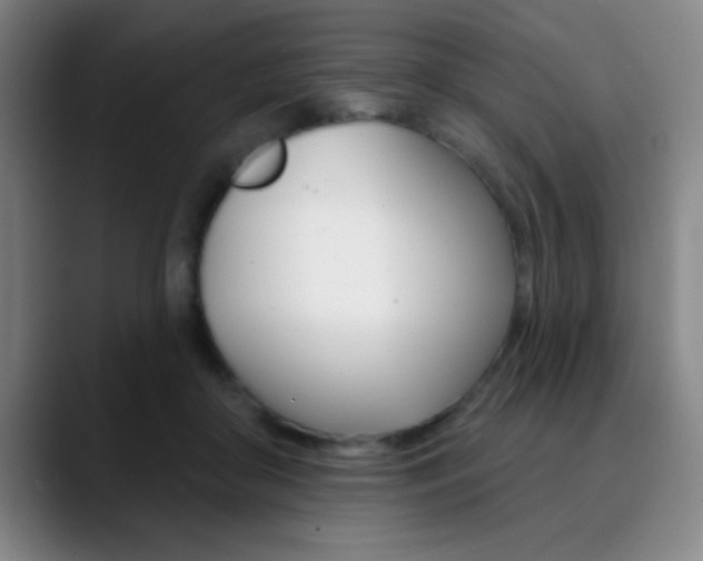 X0000090750410200707201035