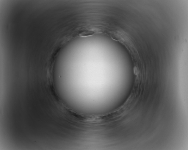 X0000090750415200707201035