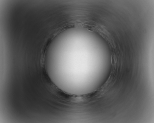 X0000090750419200707201035
