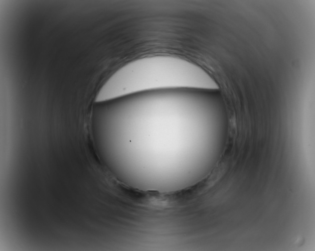 X0000090750423200707201035