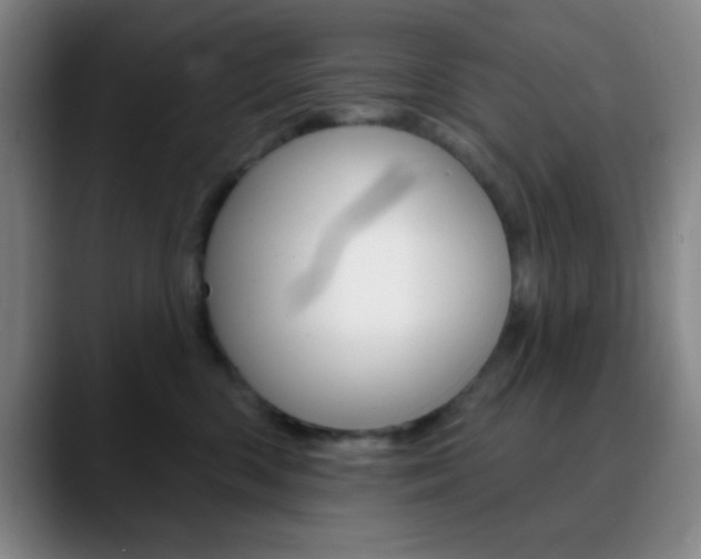 X0000090750426200707201035