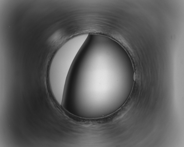 X0000090750434200707201034