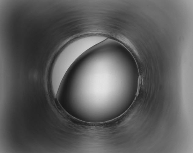 X0000090750436200707201034