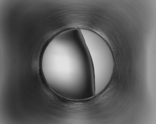 X0000090750438200707201034