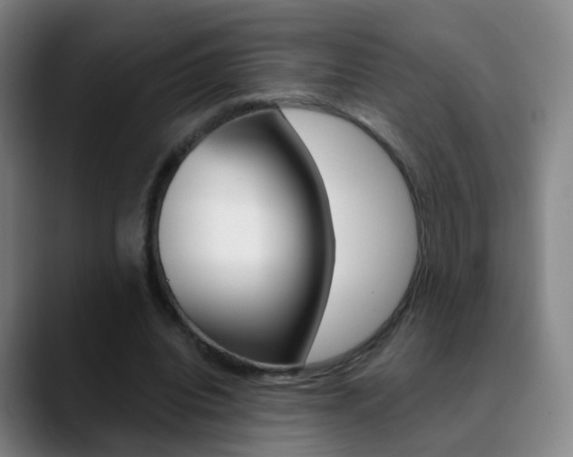 X0000090750440200707201034