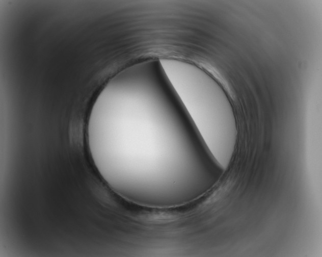 X0000090750445200707201034