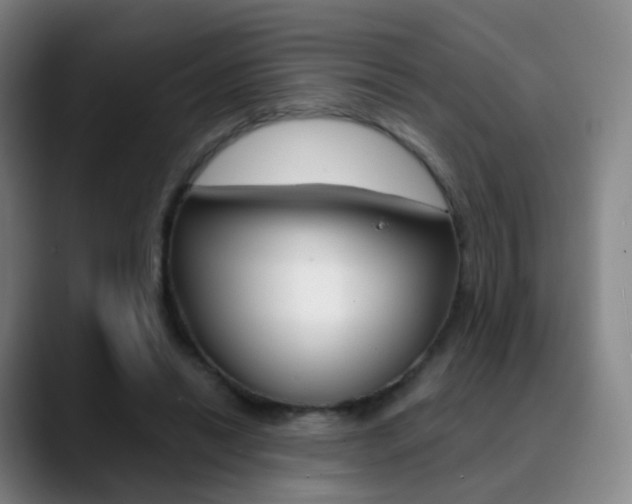 X0000090750446200707201034