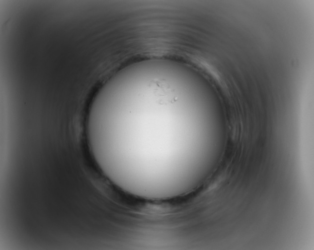 X0000090750455200707201034