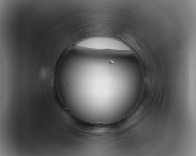 X0000090750458200707201034