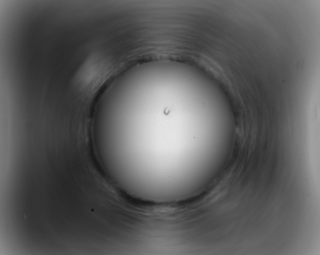X0000090750462200707201034