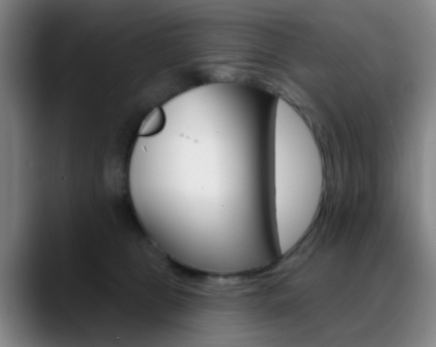 X0000090750469200707201034