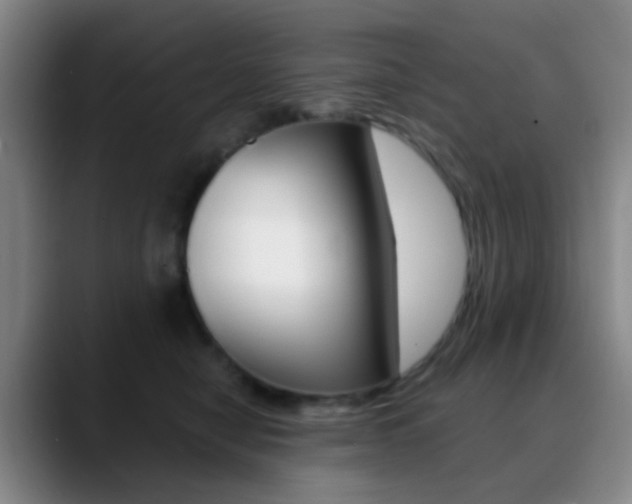 X0000090750470200707201034