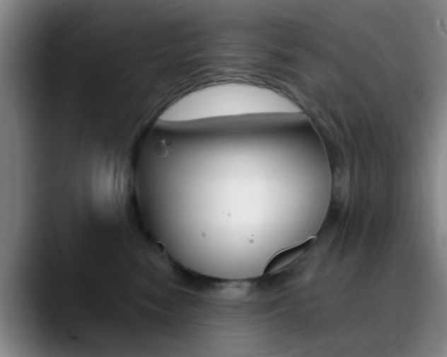 X0000090750474200707201034