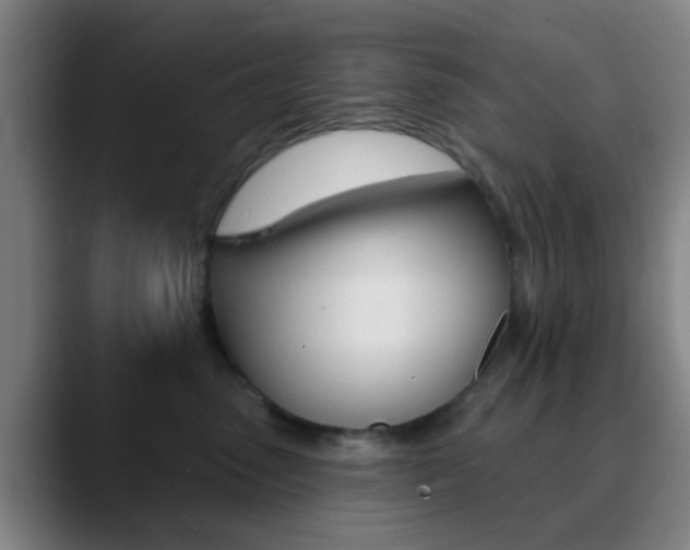 X0000090750475200707201034