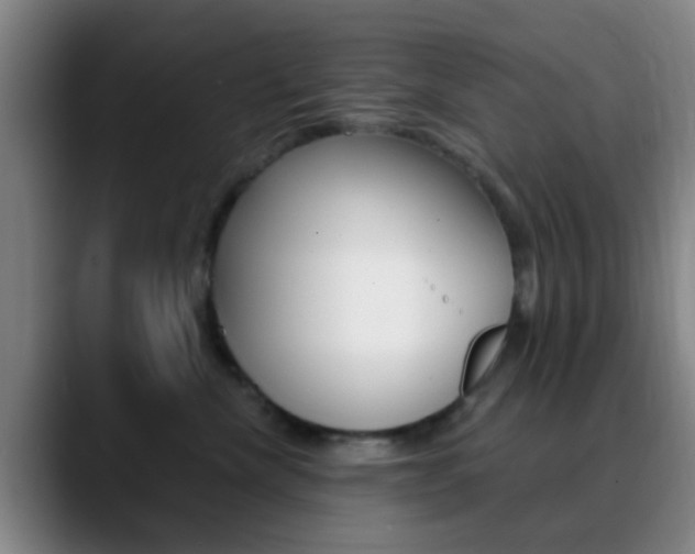 X0000090750476200707201034