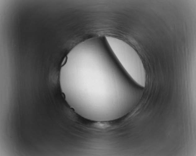 X0000090750477200707201034