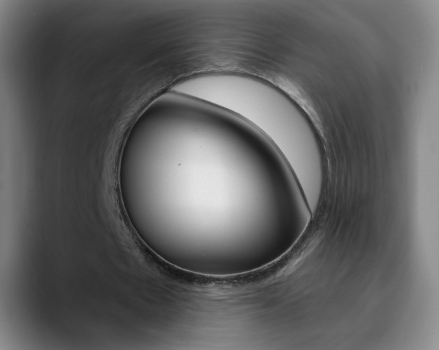 X0000090750481200707201034