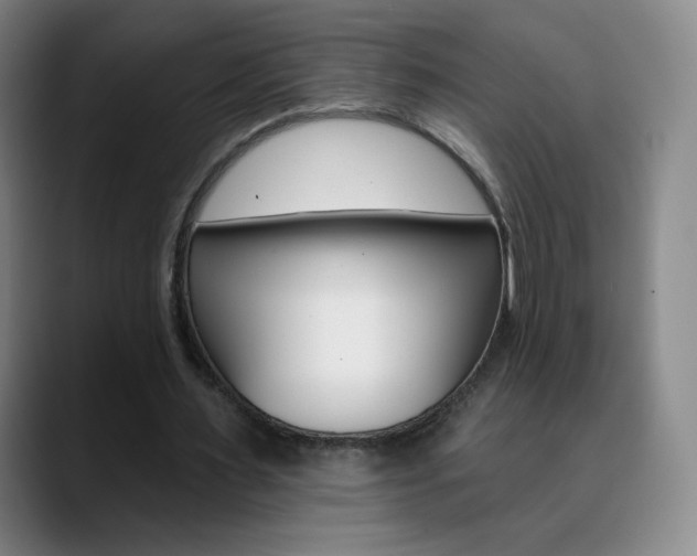X0000090750483200707201034