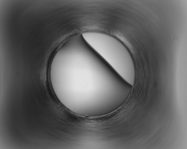 X0000090750486200707201034