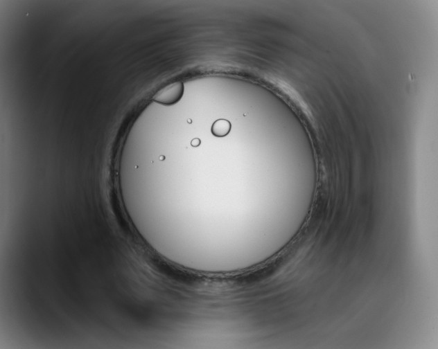 X0000090750487200707201034