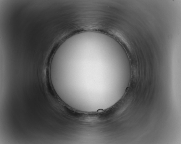 X0000090750491200707201034